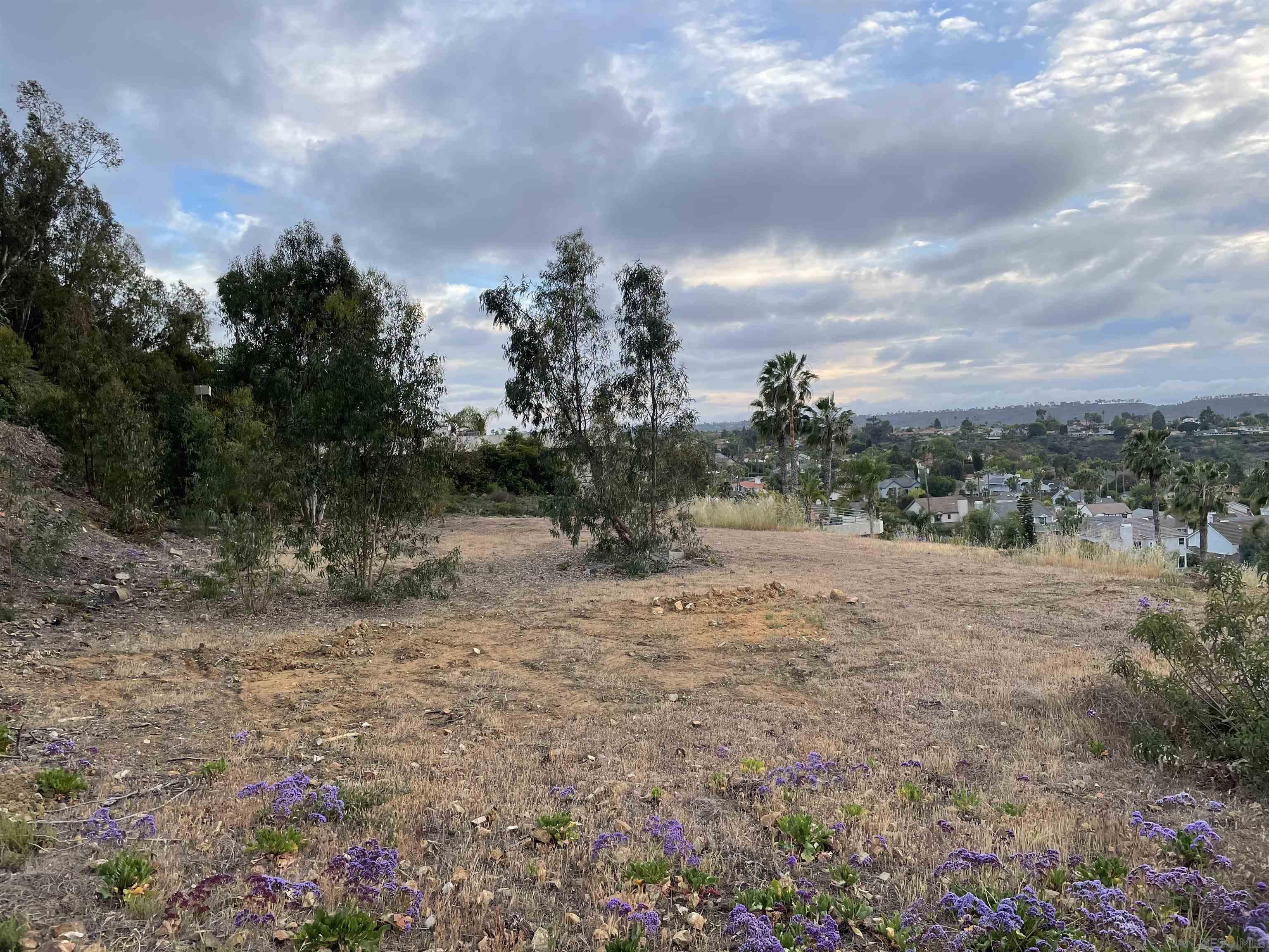 0 Cadencia Street Carlsbad, CA 92009 - Photo 6 of 12