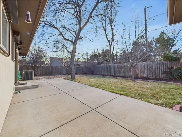 a view of backyard and tree