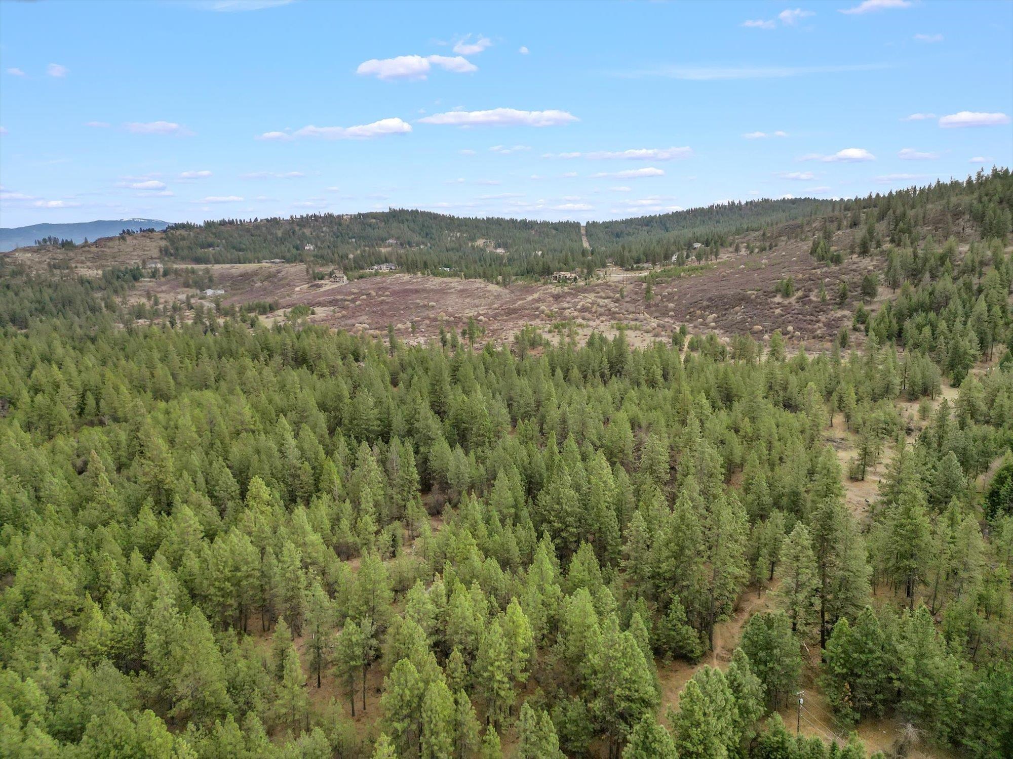 Undisclosed Address Spokane Valley, WA 99212 - Photo 49 of 50