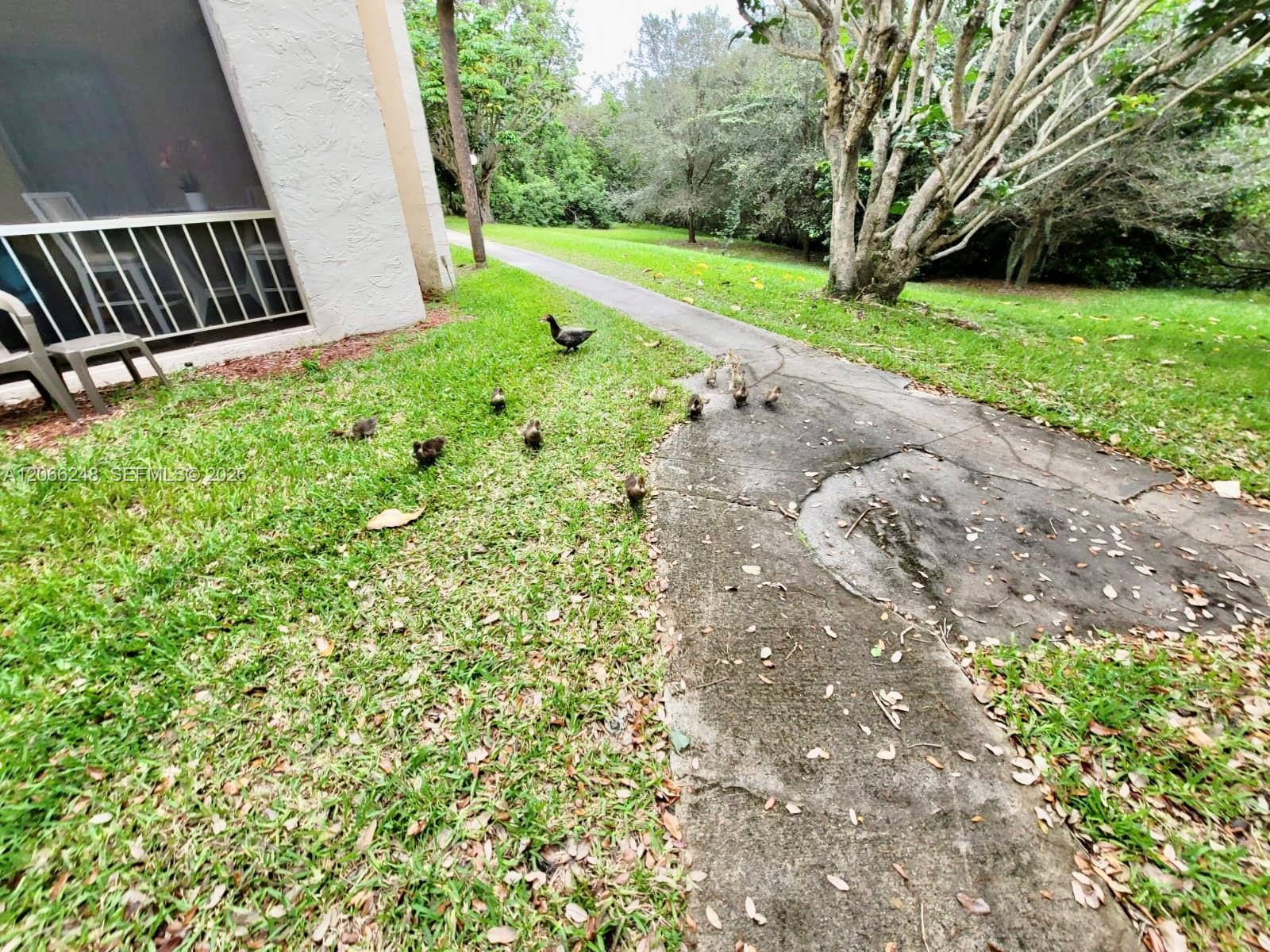 610 Northwest 13th Street, Unit 11 Boca Raton, FL 33486 - Photo 28 of 31 Gallery Image 28