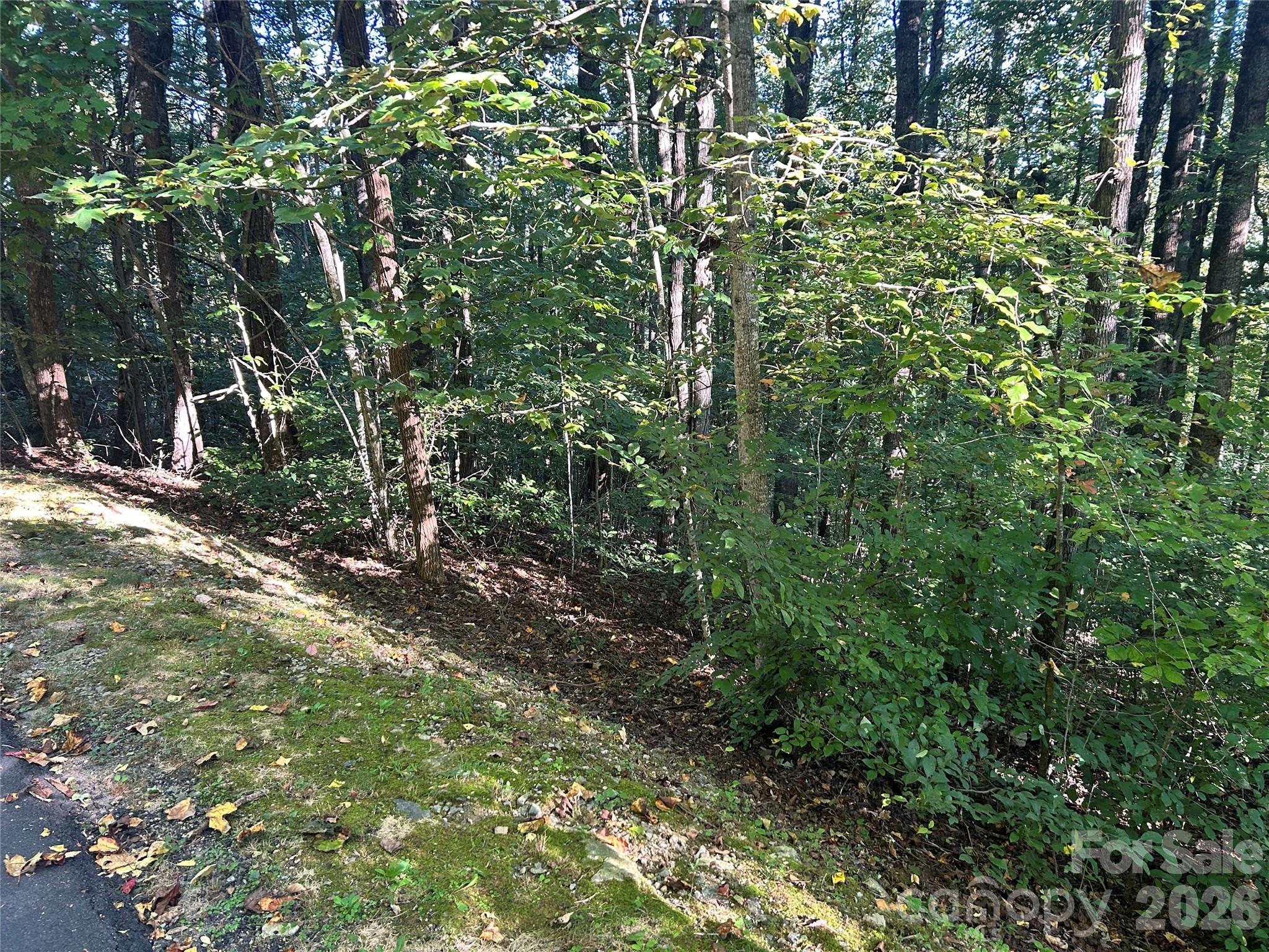 Tbd Hebron Road, Unit 36 Hendersonville, NC 28739 - Photo 7 of 8 Gallery Image 7