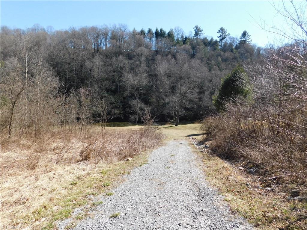 Lot #35 Riverside Drive Sparta, NC 28675 - Photo 12 of 31 Road to Riverside Common Area