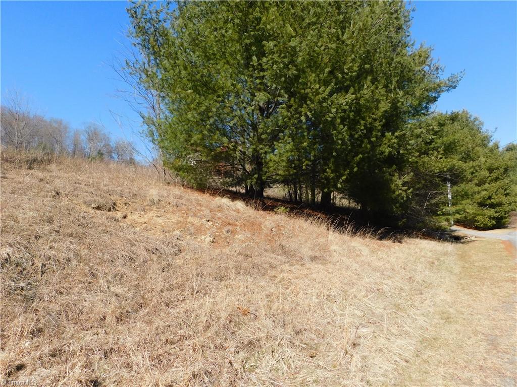 Lot #35 Riverside Drive Sparta, NC 28675 - Photo 6 of 31 Front of lot