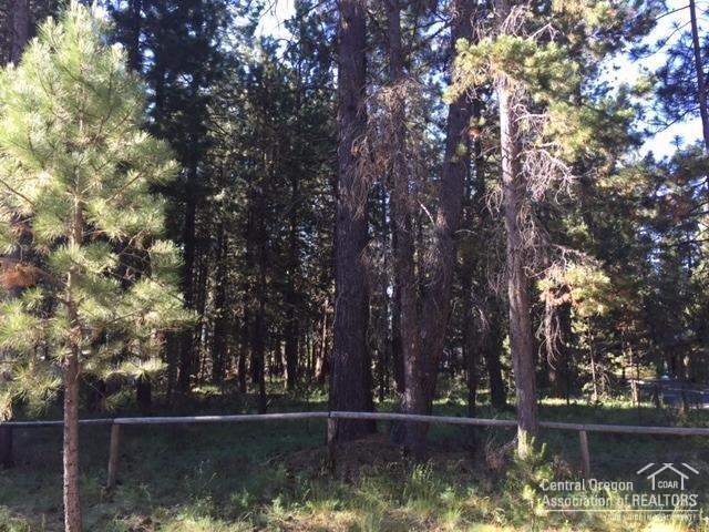17033 Torrance Road Bend, OR 97707 - Photo 9 of 9 Additional Photo