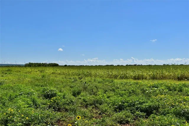 a view of yard and mountain