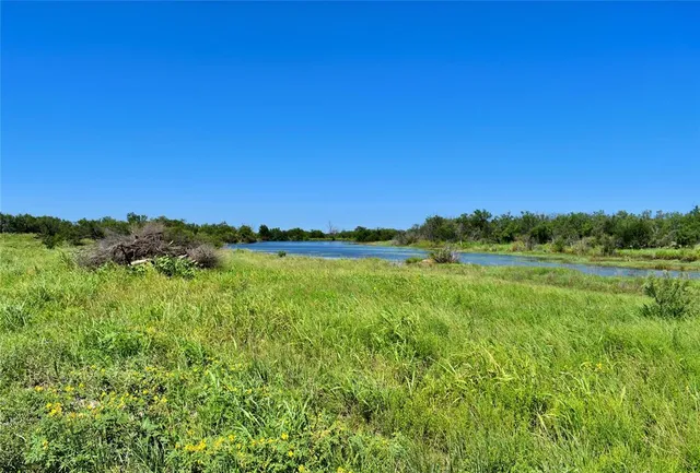 a view of a lush green space with sea