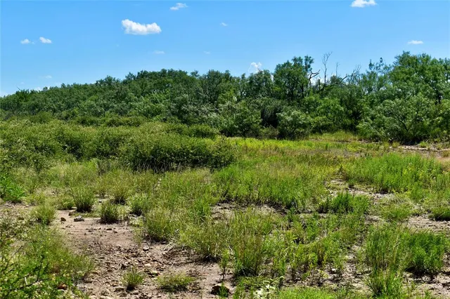 a view of a garden with a lake