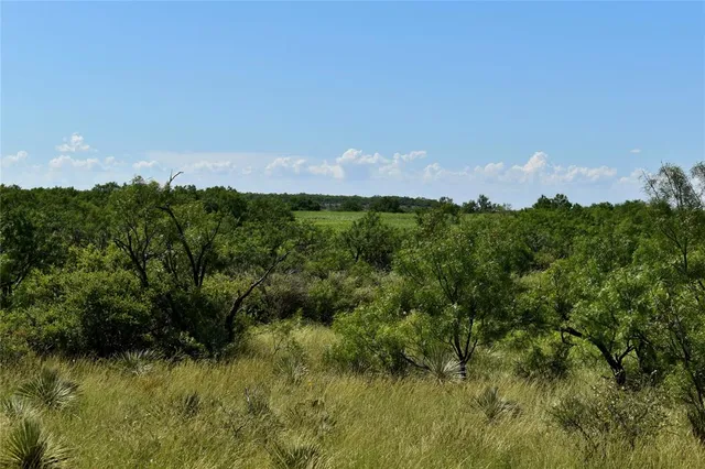 a view of a bunch of trees