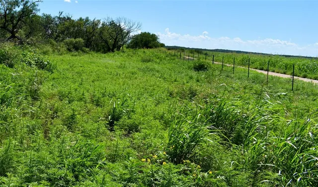 a view of yard with grass and trees