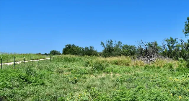 a view of a green field with lots of bushes