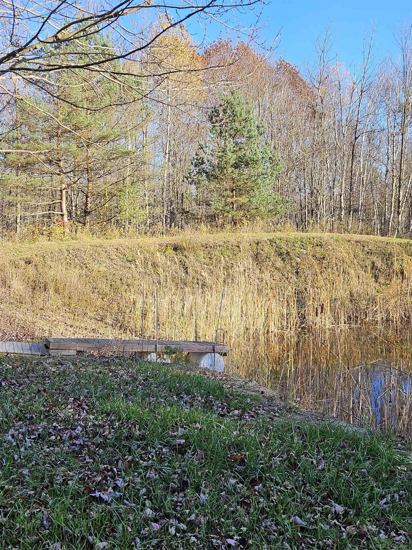8281 Fargo Road Yale, MI 48097 - Photo 5 of 18