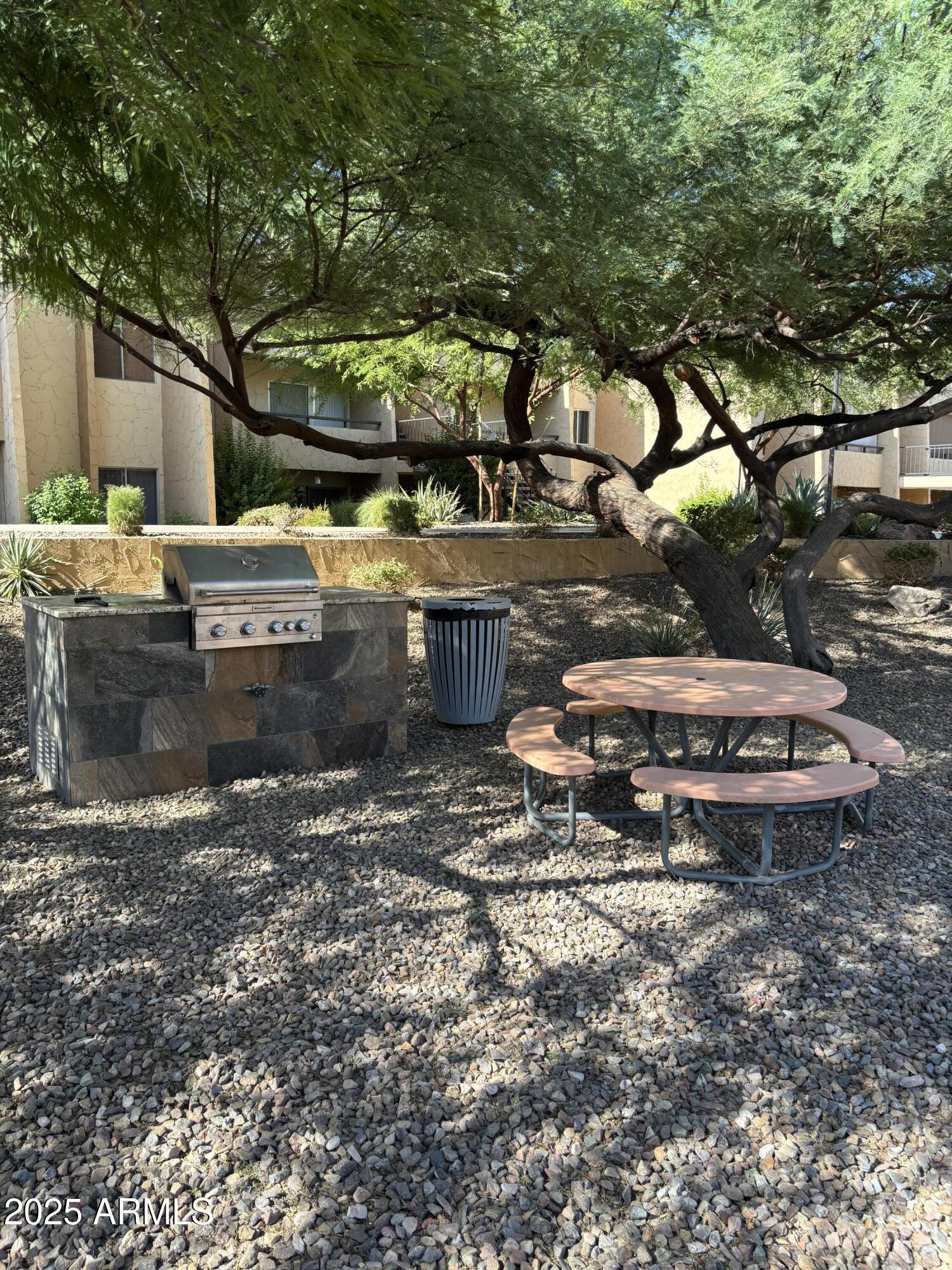 8055 East Thomas Road, Unit A202 Scottsdale, AZ 85251 - Photo 29 of 30 a view of a backyard with plants and tree