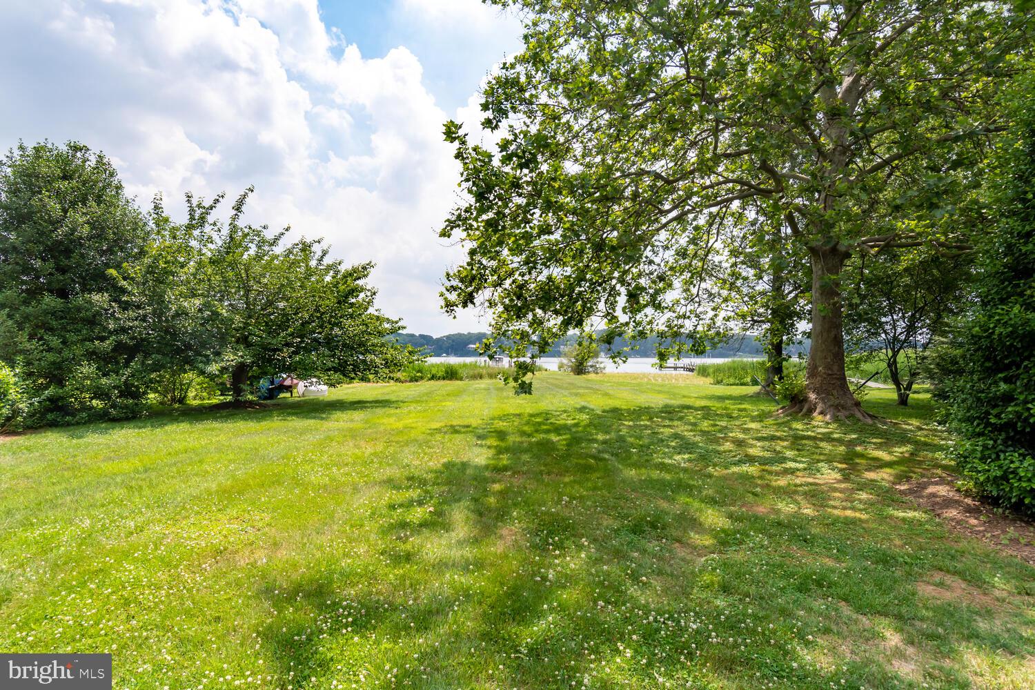 8039 Quaker Neck Road Chestertown, MD 21620 - Photo 53 of 75 Rear Yard