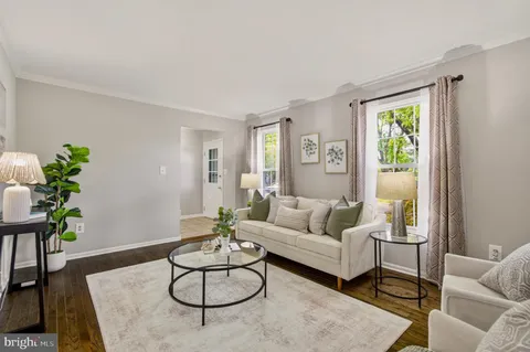 a living room with furniture potted plant and a window