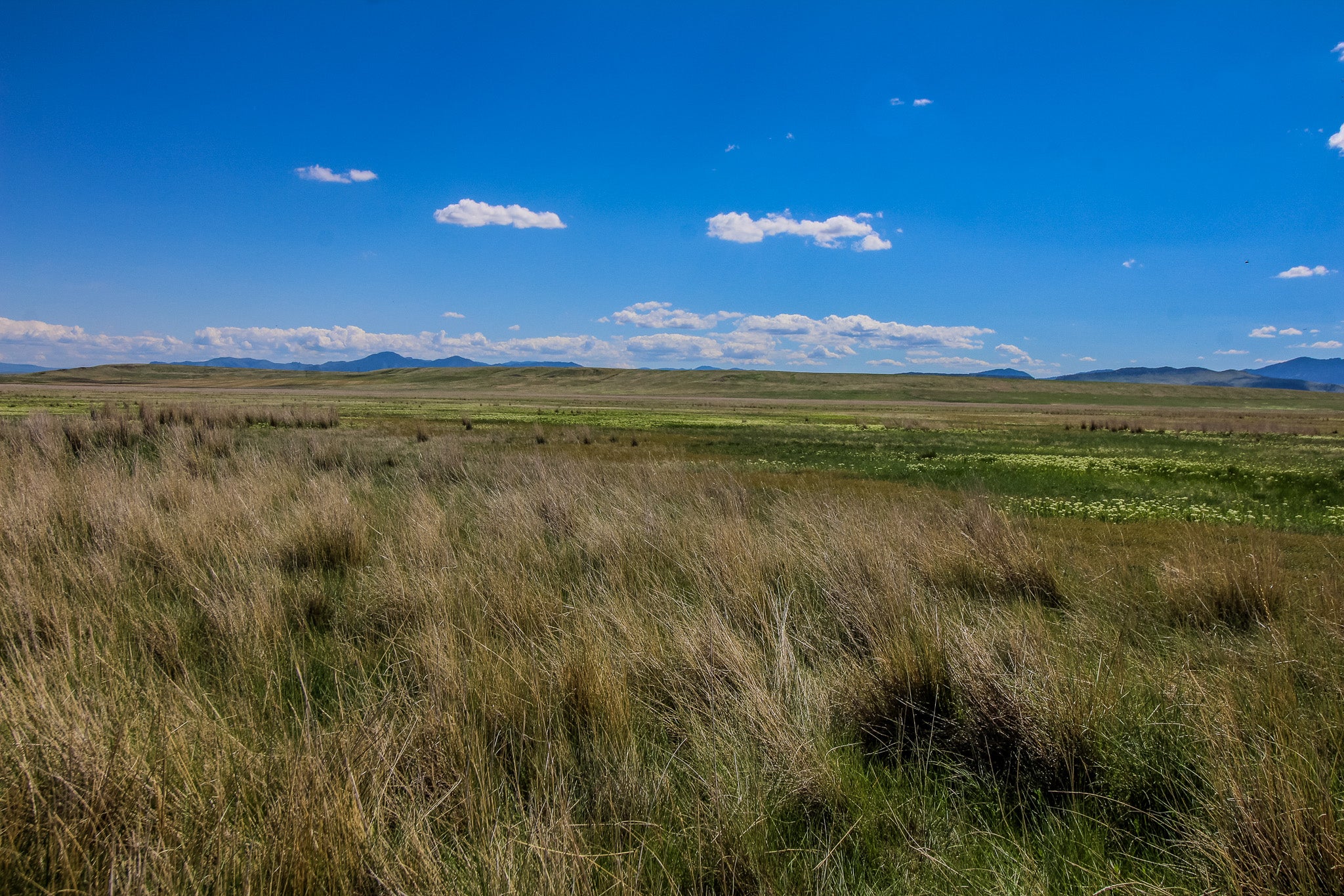 25 Old Ulm Cascade Road Cascade, MT 59421 - Photo 5 of 7 Gallery Image 5