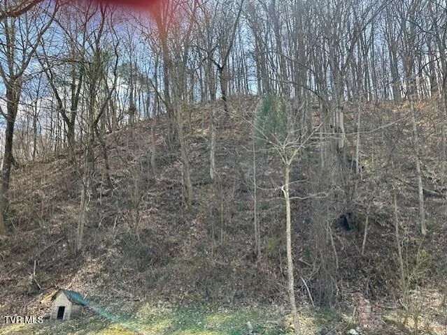 $19,500 | 164 Cardwell Town, Saltville, VA 24370