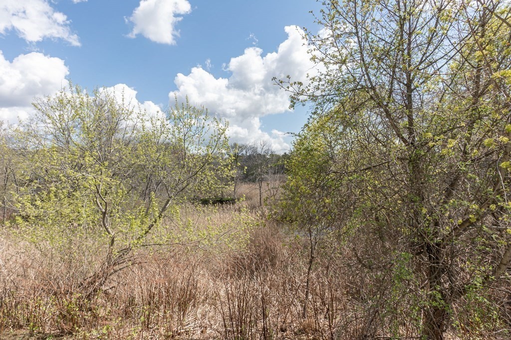 33 Abington Road, Unit 33 Danvers, MA 01923 - Photo 14 of 42 Gallery Image 14