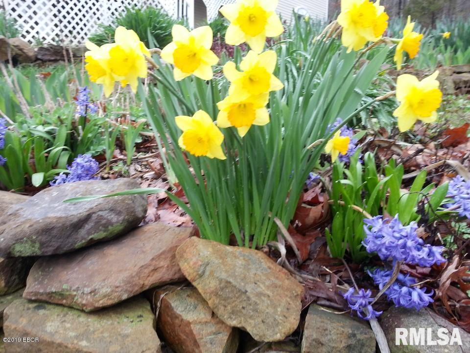 2655 Raintree Road Harrisburg, IL 62946 - Photo 44 of 50 Gallery Image 44