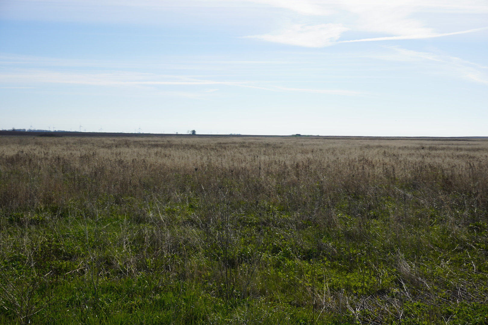 102 Acres /- East 1900 North Road Cullom, IL 60929 - Photo 15 of 16