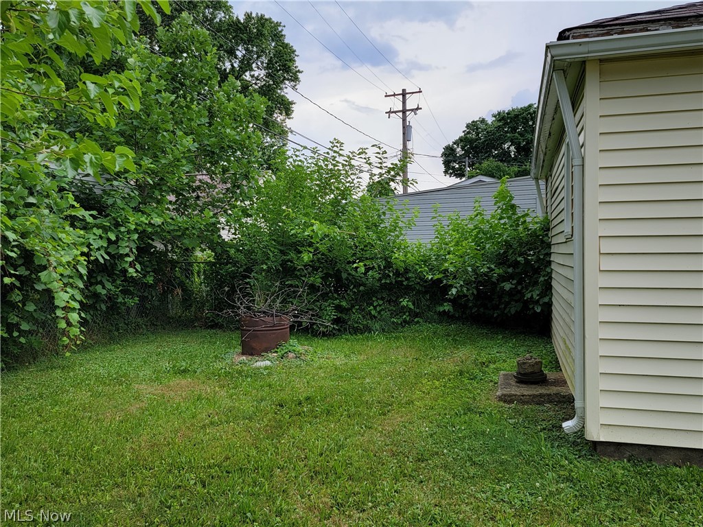 3908 Snow Road Cleveland, OH 44134 - Photo 14 of 29 Area behind garage for garden!