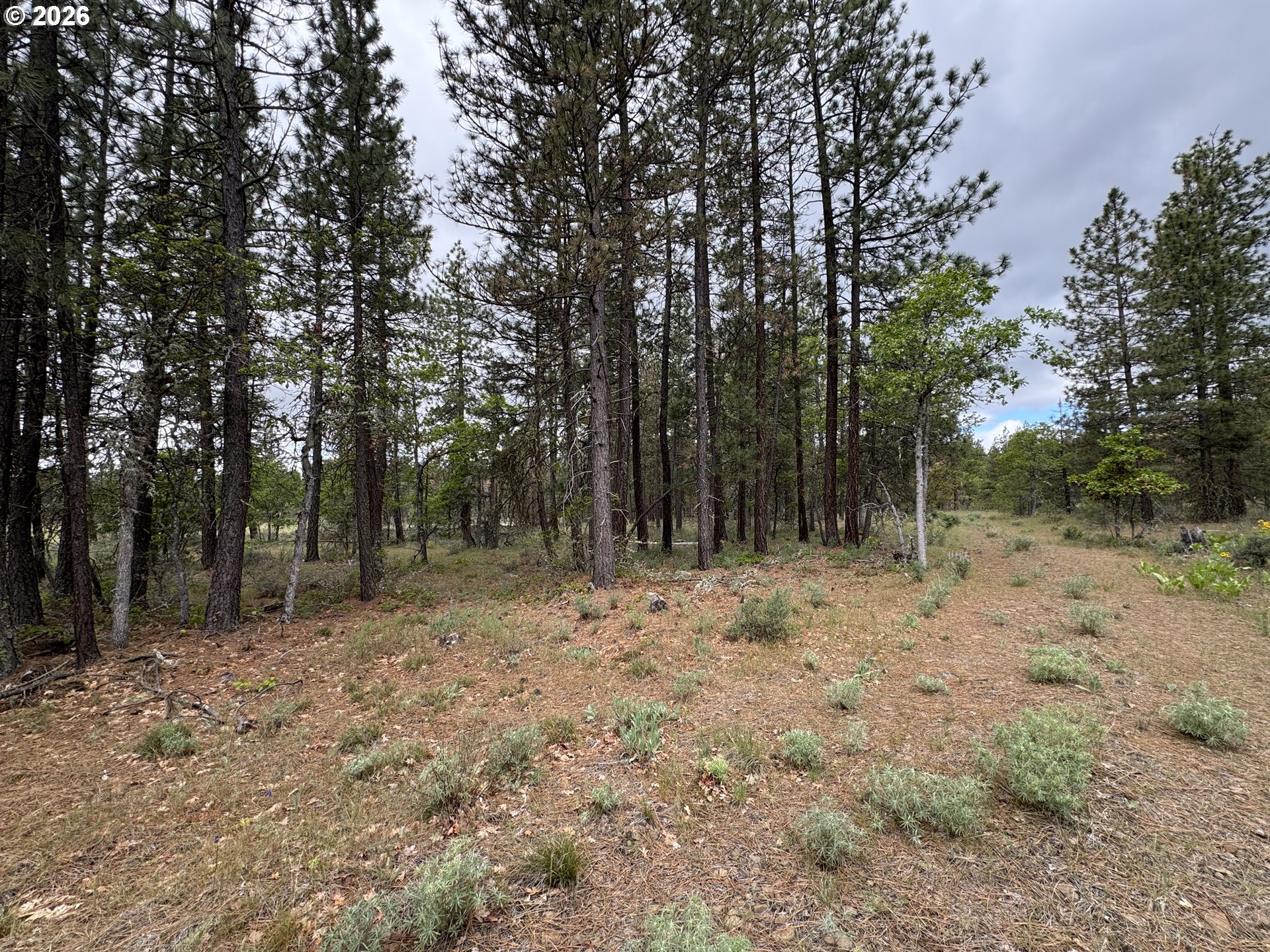 Old Mountain Road Goldendale, WA 98620 - Photo 11 of 41