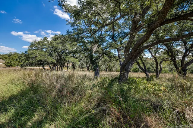 $215,000 | 190 Fallen Acorn, Blanco, TX 78606