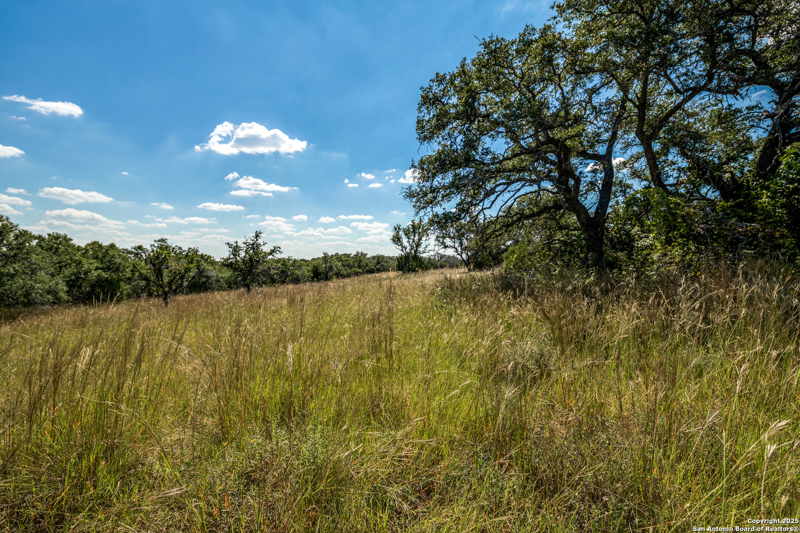 190 Fallen Acorn Blanco, TX 78606 - Photo 4 of 13