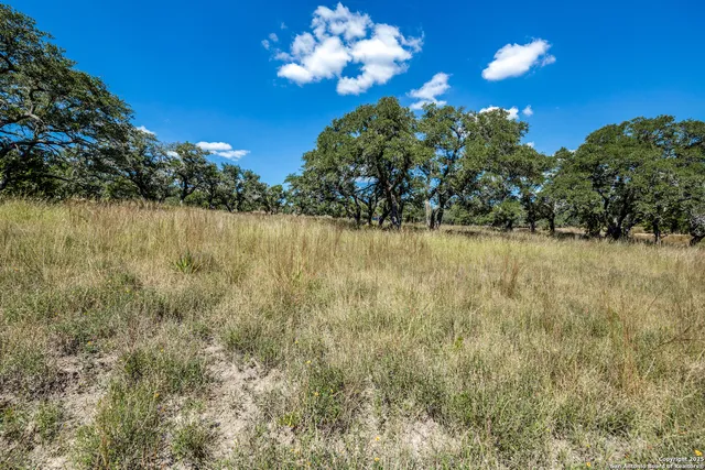 $215,000 | 190 Fallen Acorn, Blanco, TX 78606