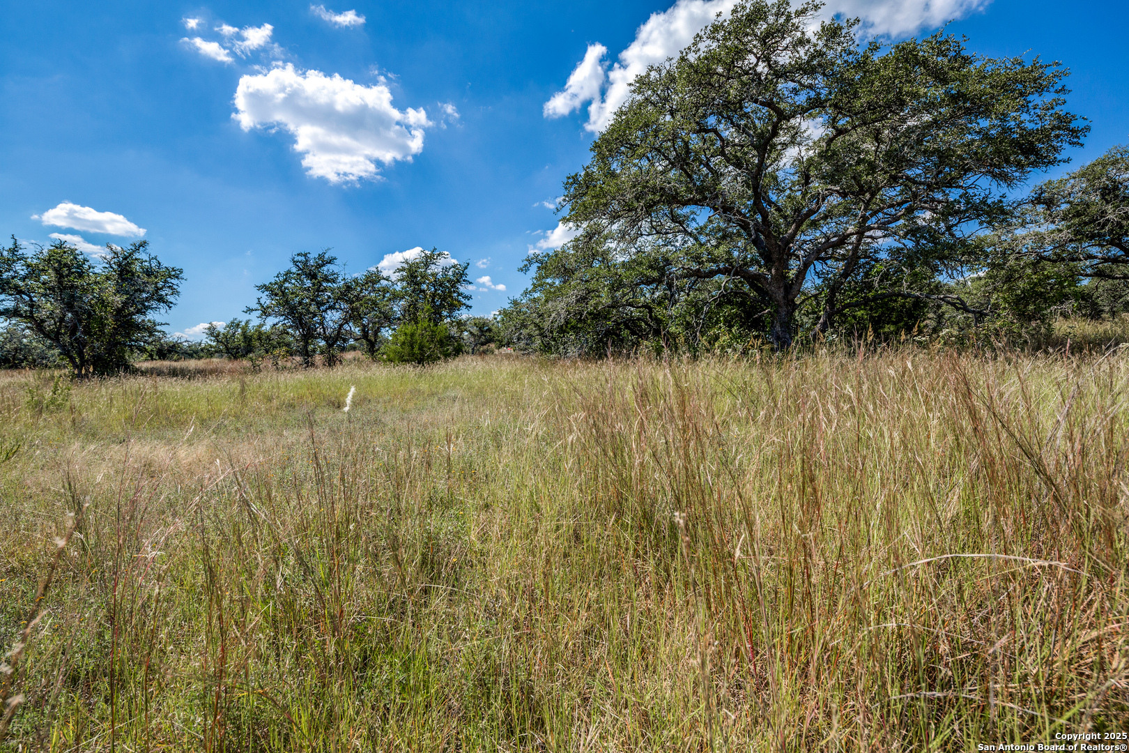 190 Fallen Acorn Blanco, TX 78606 - Photo 6 of 13