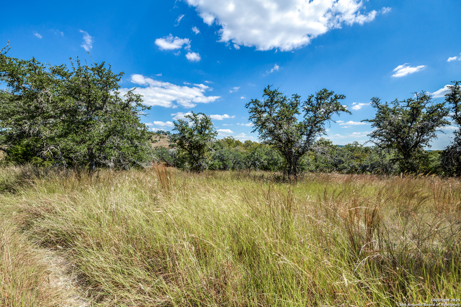 190 Fallen Acorn Blanco, TX 78606 - Photo 8 of 13