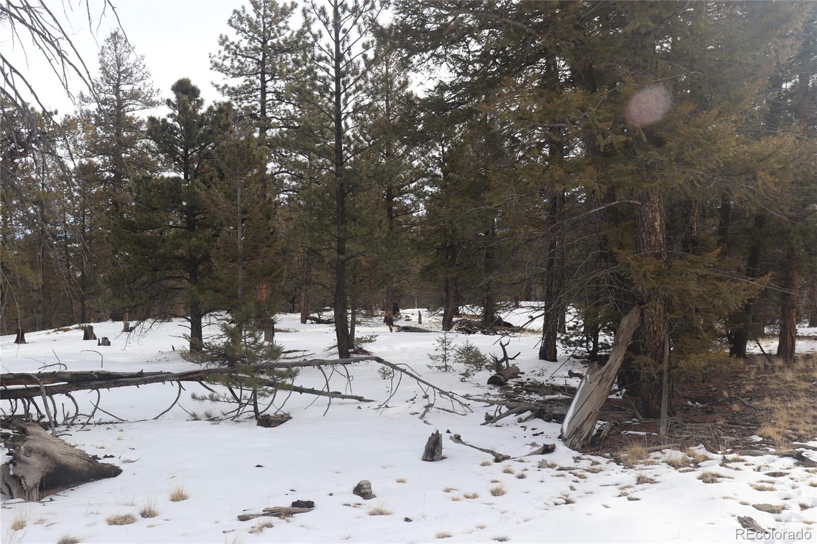 1487 Bellows Road Hartsel, CO 80449 - Photo 11 of 15