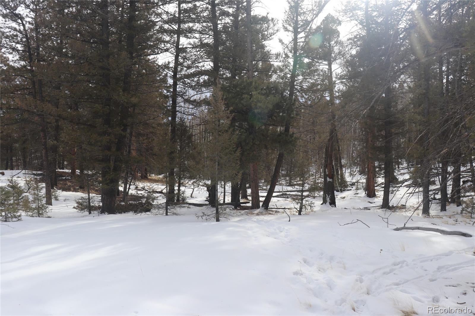 1487 Bellows Road Hartsel, CO 80449 - Photo 12 of 15