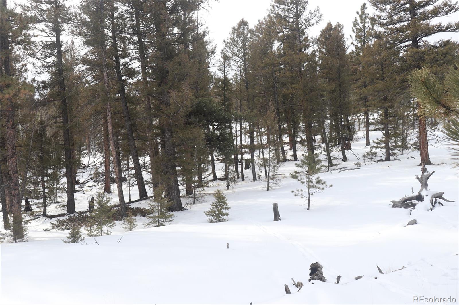 1487 Bellows Road Hartsel, CO 80449 - Photo 13 of 15