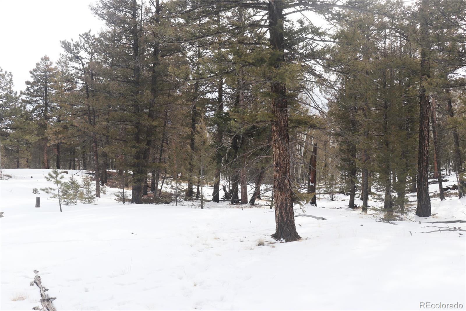 1487 Bellows Road Hartsel, CO 80449 - Photo 14 of 15