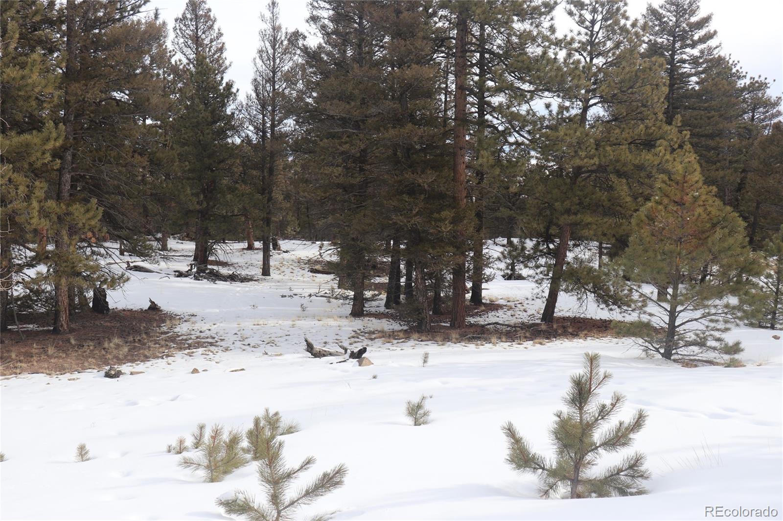 1487 Bellows Road Hartsel, CO 80449 - Photo 15 of 15
