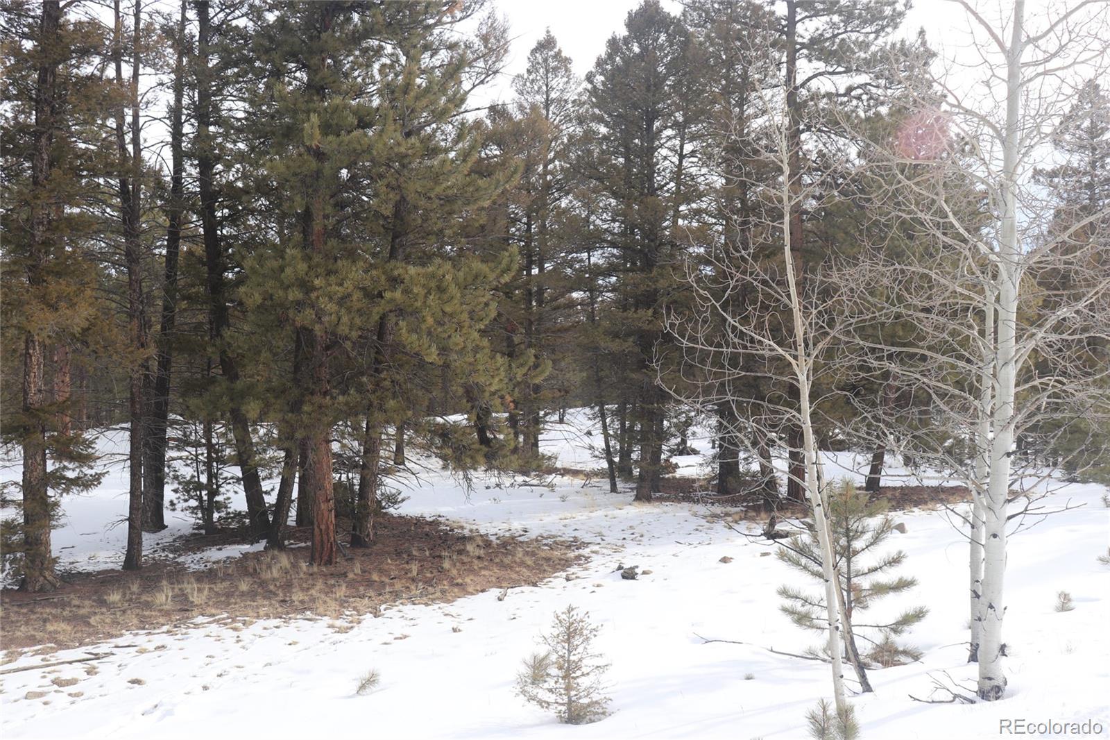 1487 Bellows Road Hartsel, CO 80449 - Photo 3 of 15