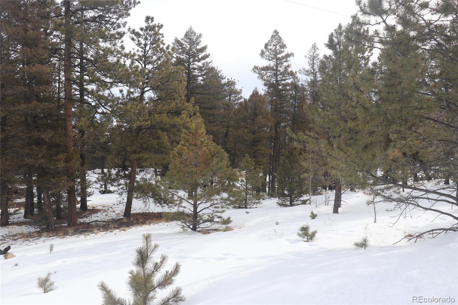 1487 Bellows Road Hartsel, CO 80449 - Photo 4 of 15