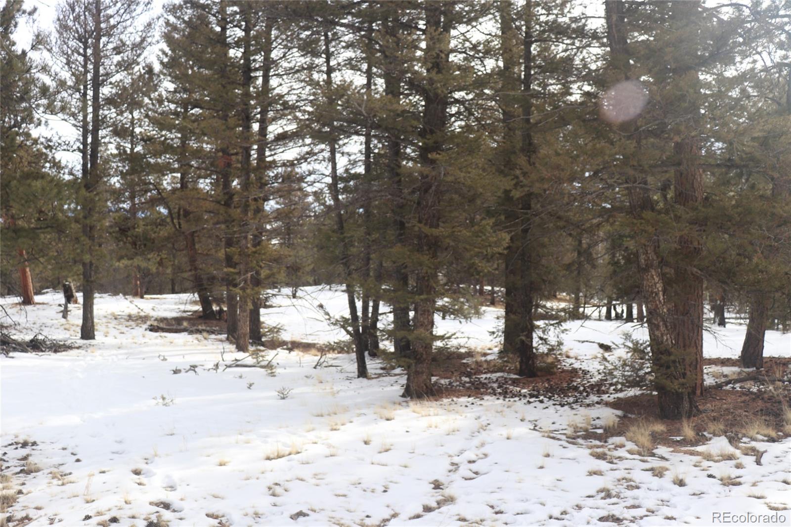 1487 Bellows Road Hartsel, CO 80449 - Photo 5 of 15