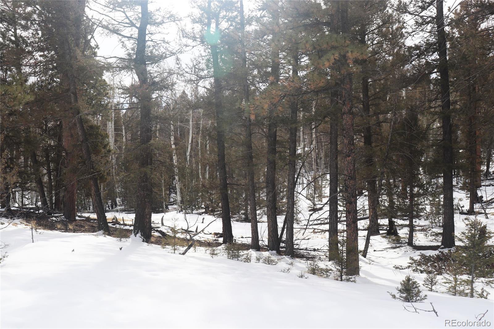 1487 Bellows Road Hartsel, CO 80449 - Photo 7 of 15
