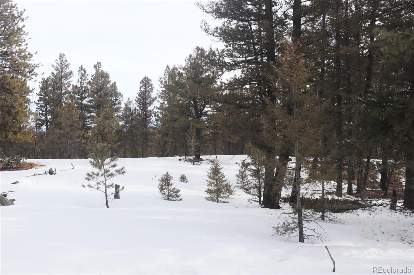 1487 Bellows Road Hartsel, CO 80449 - Photo 9 of 15