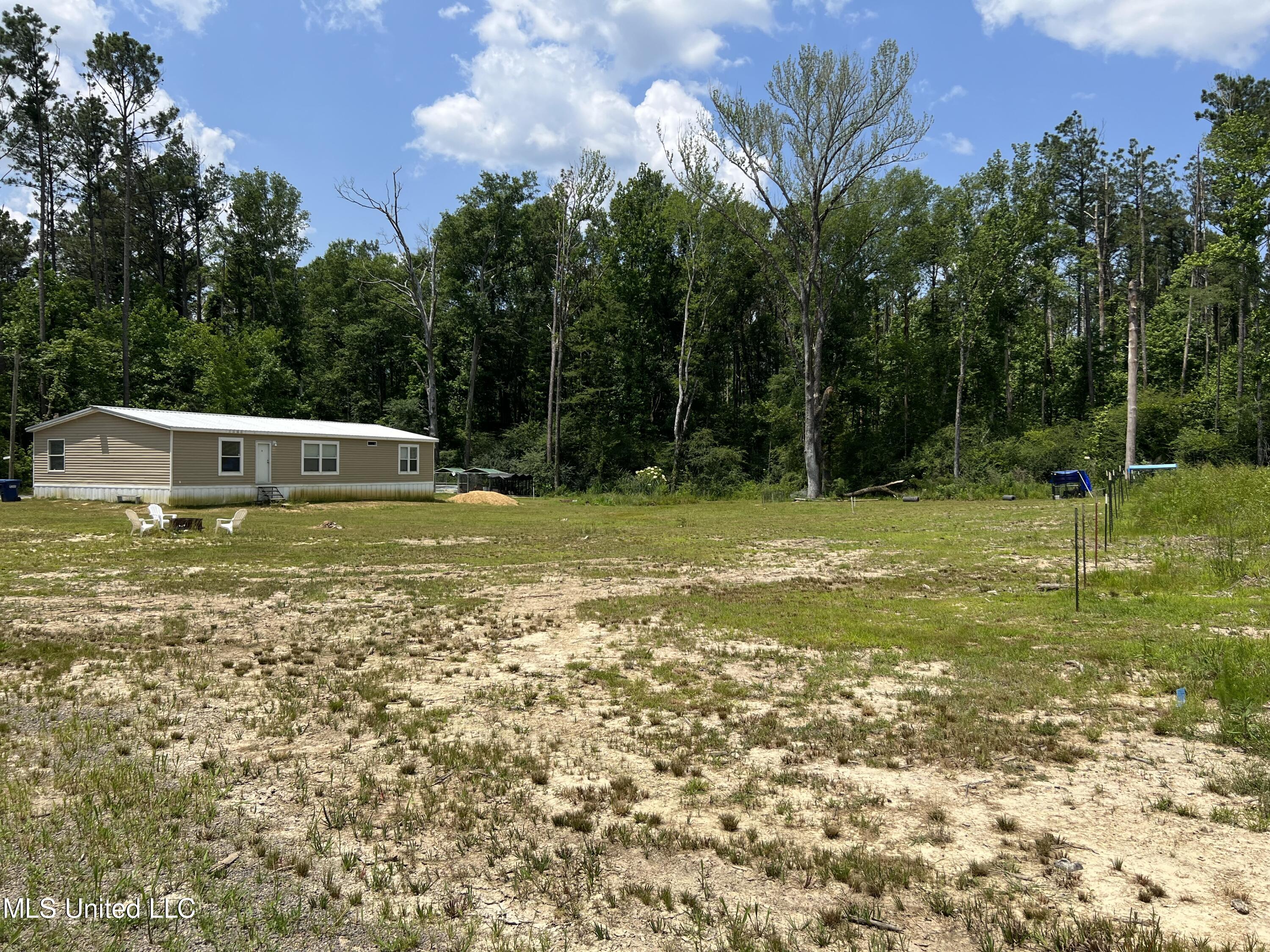 77 Dick Lee Road Lena, MS 39094 - Photo 2 of 21 IMG_3264