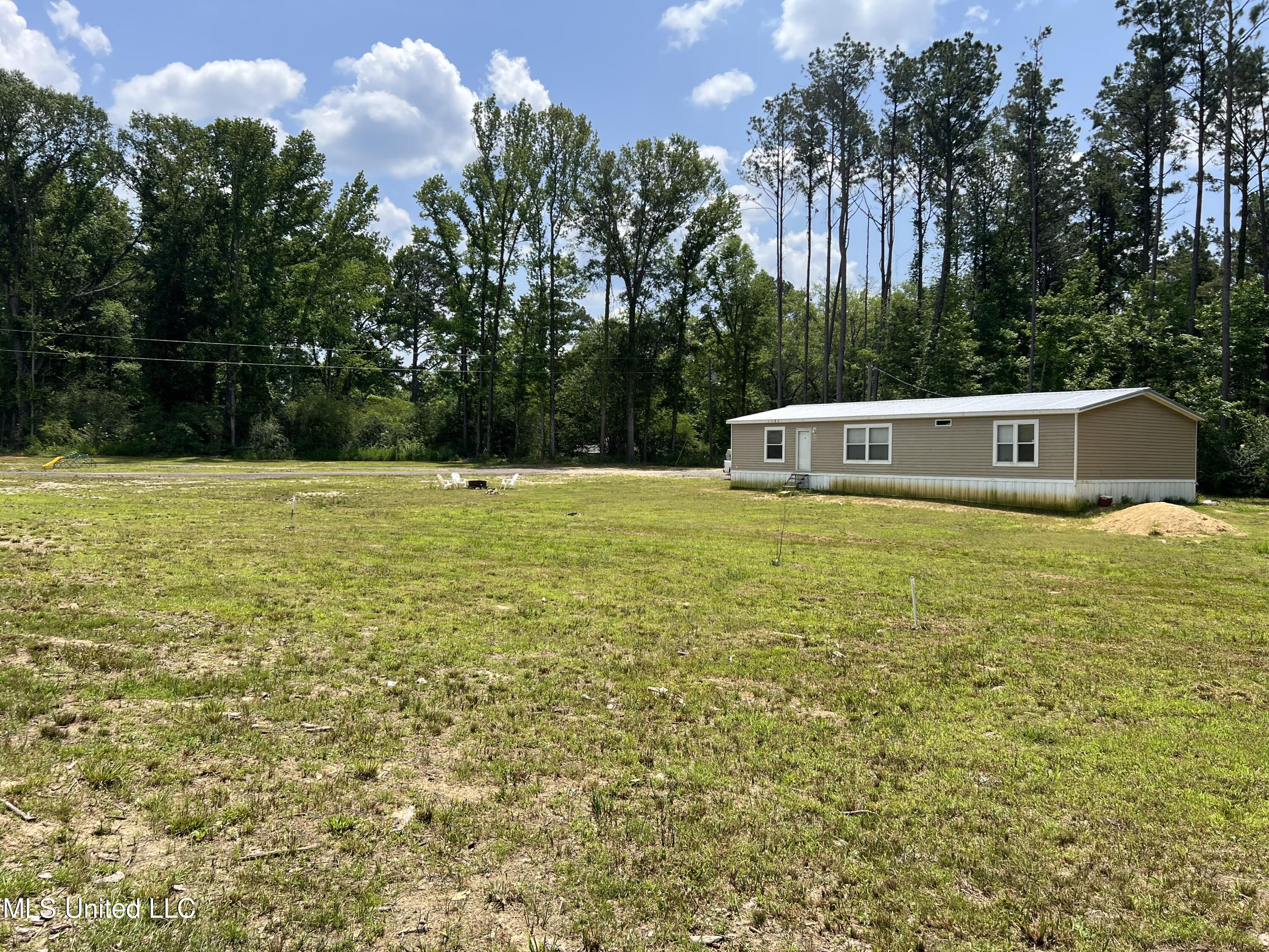 77 Dick Lee Road Lena, MS 39094 - Photo 3 of 21 IMG_3259
