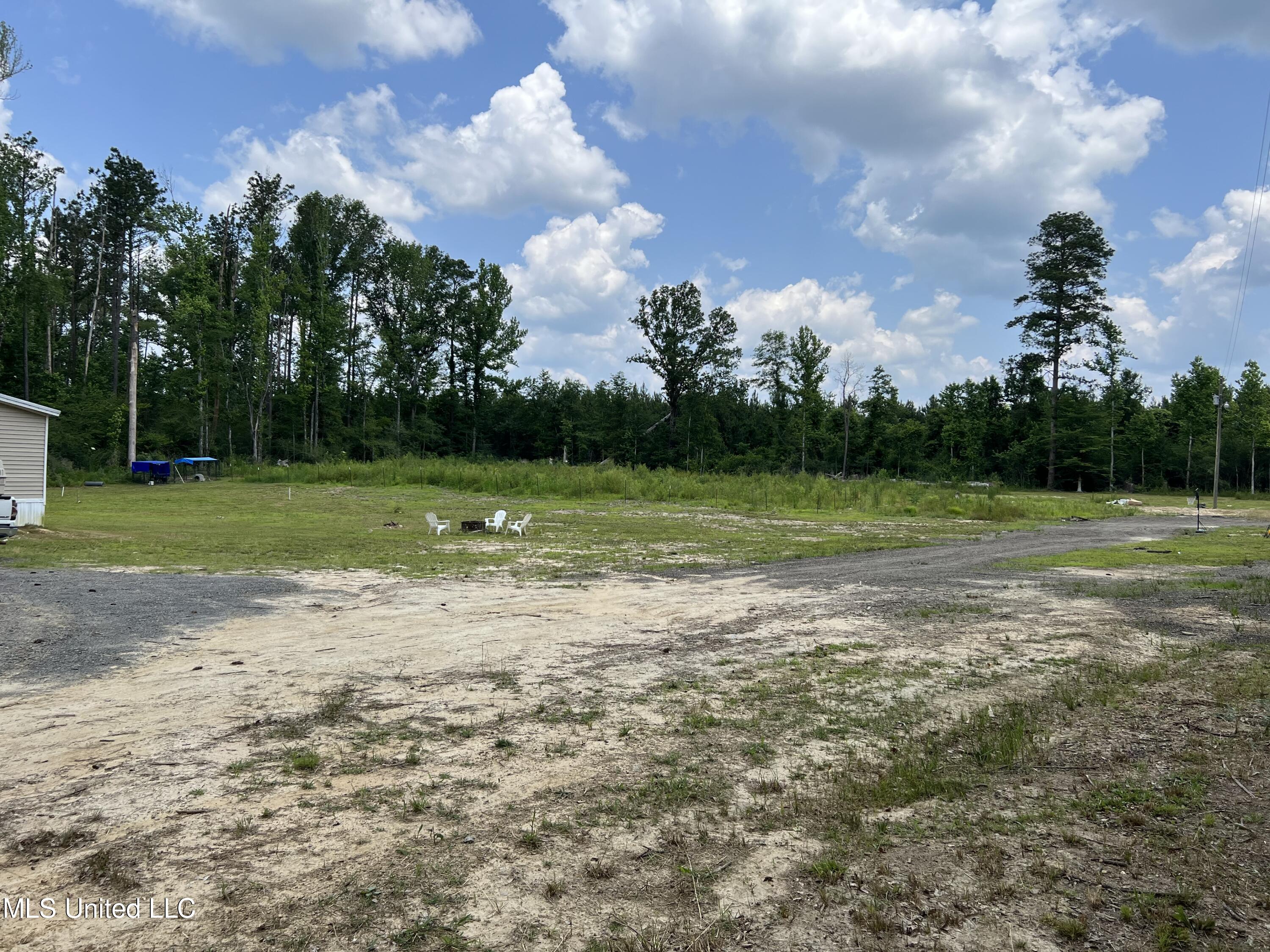 77 Dick Lee Road Lena, MS 39094 - Photo 5 of 21 IMG_3272