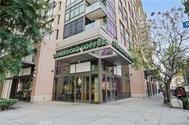 a view of a park with plants and trees
