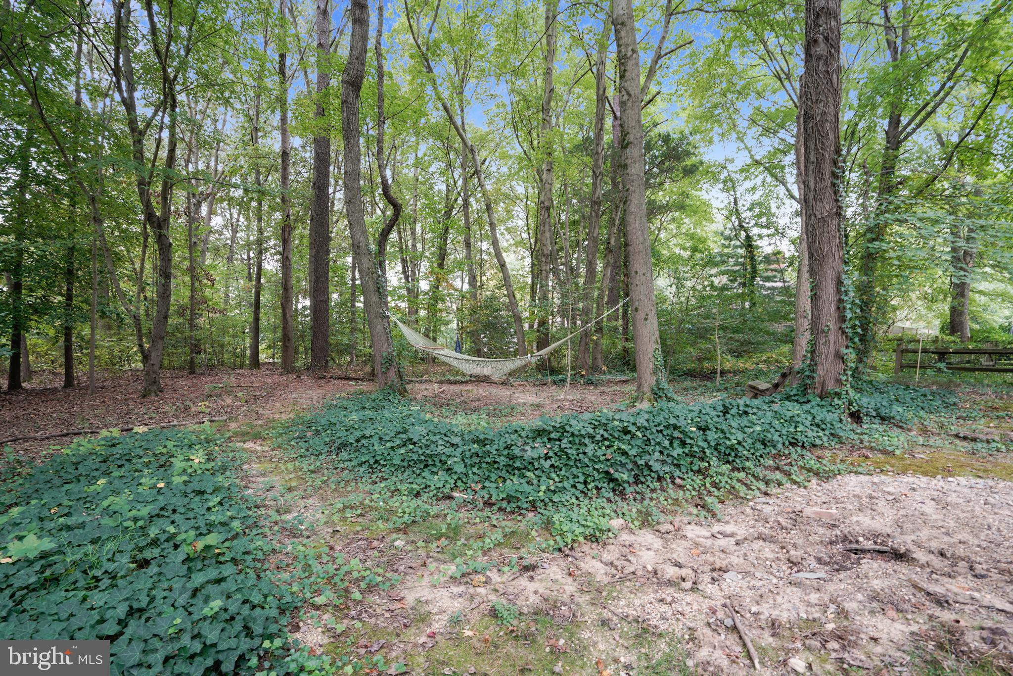 206 Birch Run Road Chestertown, MD 21620 - Photo 31 of 32 Backyard