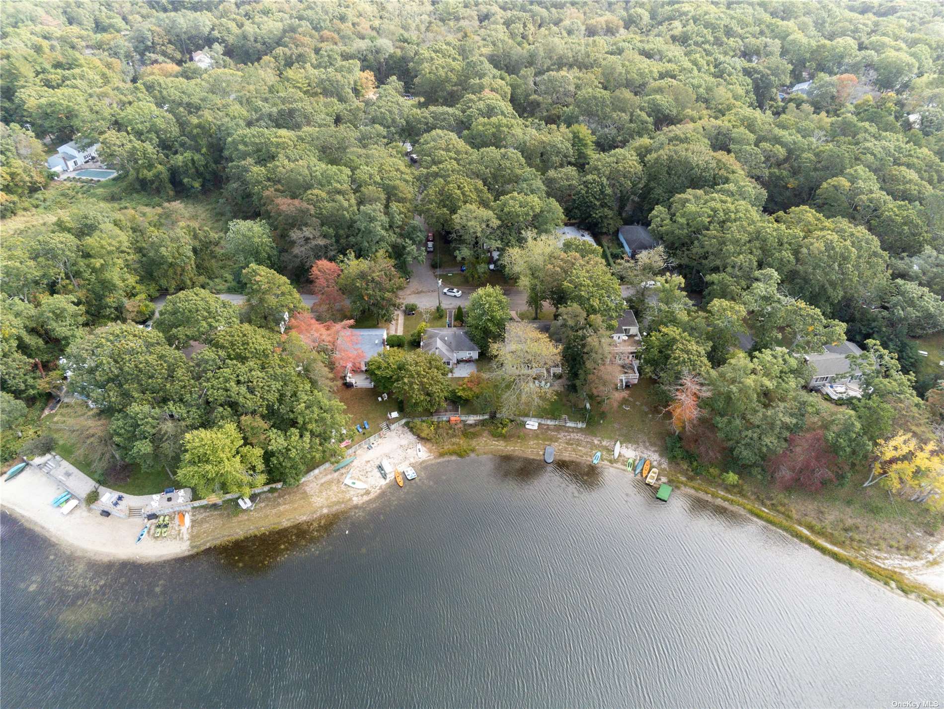 a view of a yard with a plants