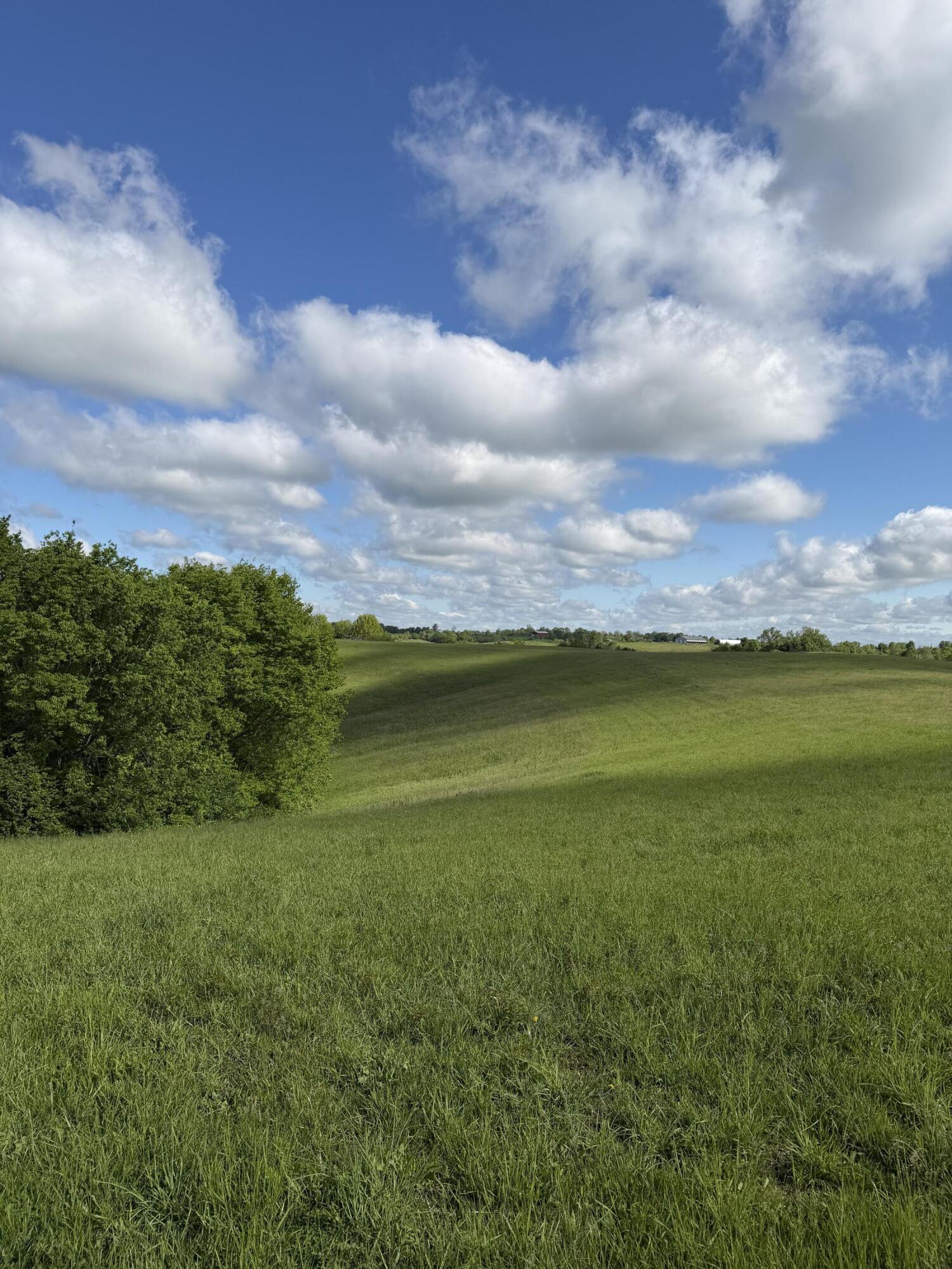 5.11-ac Chipman Ridge Road Williamstown, KY 41097 - Photo 2 of 6