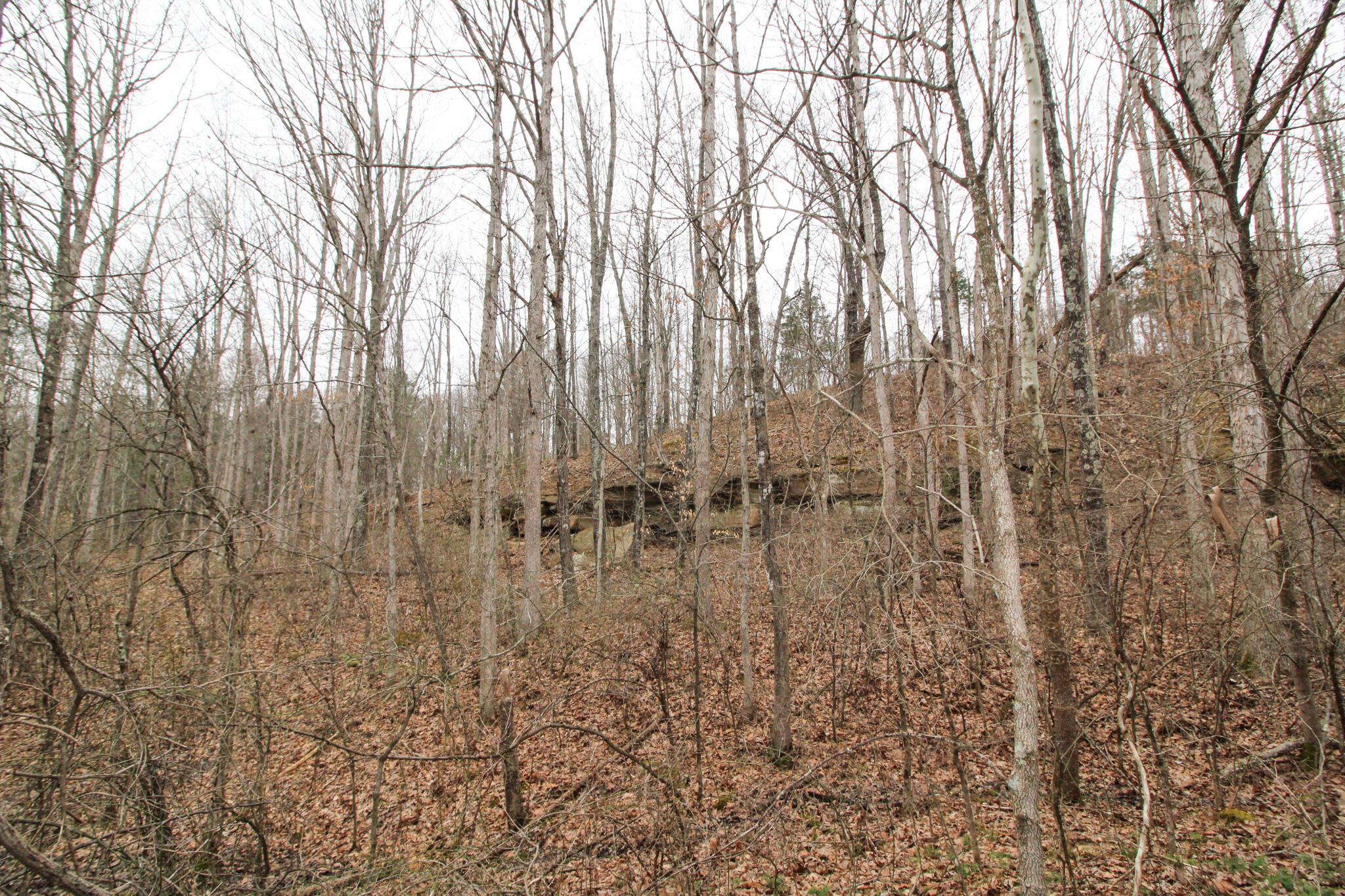 14630 Robinson Road Amesville, OH 45711 - Photo 31 of 39 IMG_4005