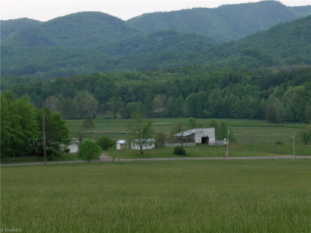 2174 Ramey Creek Road Lowgap, NC 27024 - Photo 29 of 30