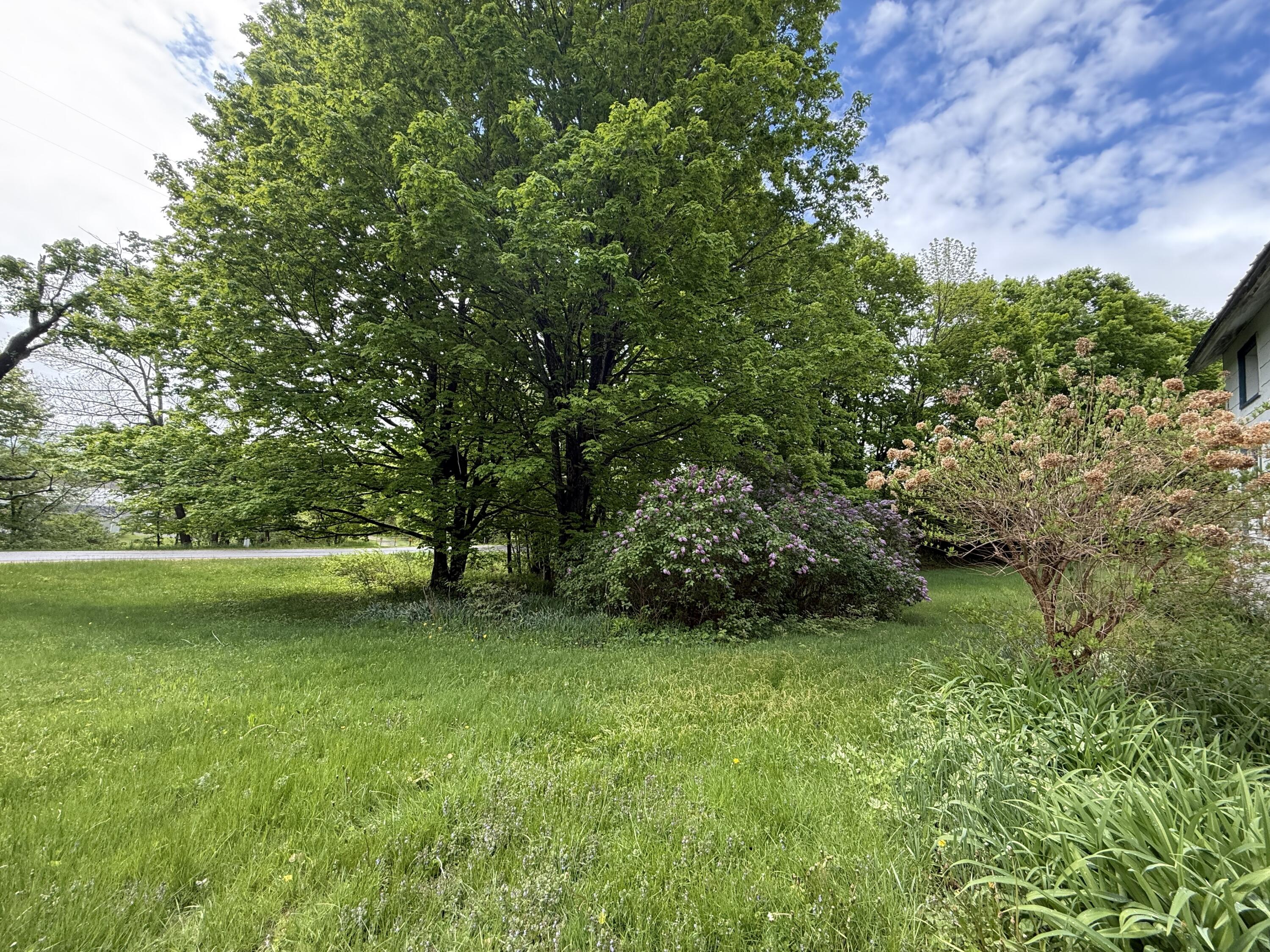 67 Nashville Road Saranac, NY 12981 - Photo 4 of 21